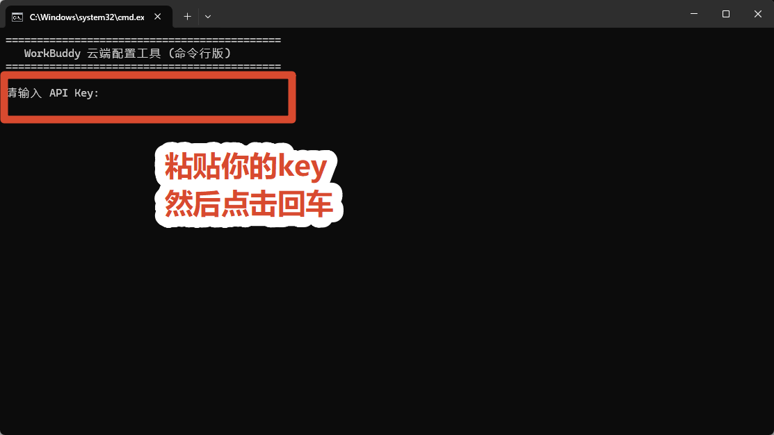 命令行提示粘贴 wb_live_ 开头的密钥